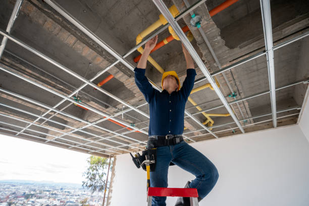 Best Leak Detection Services  in Brice Prairie, WI